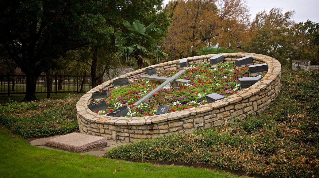 Fort Worth Botanic Garden showing wildflowers, a park and flowers
