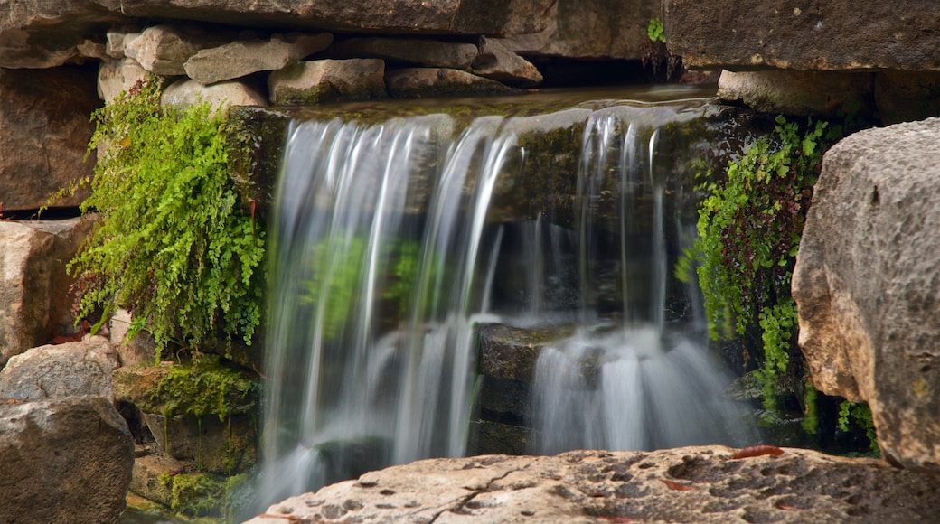Fort Worth Botanic Garden showing a fountain