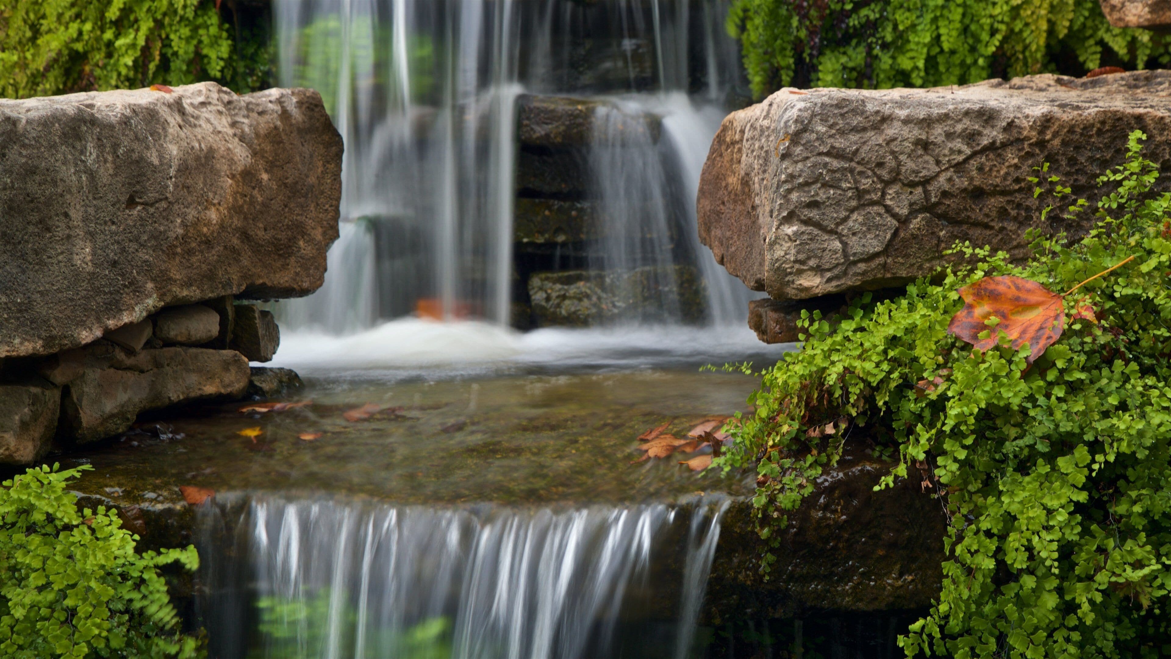 Fort Worth Botanic Garden featuring a fountain
