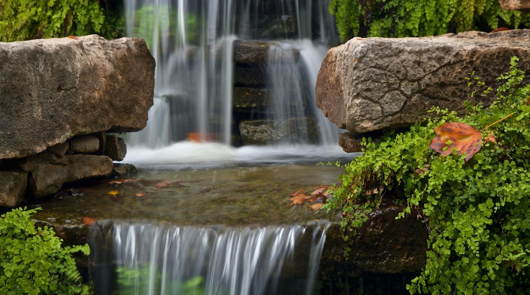 Fort Worth Botanic Garden featuring a fountain