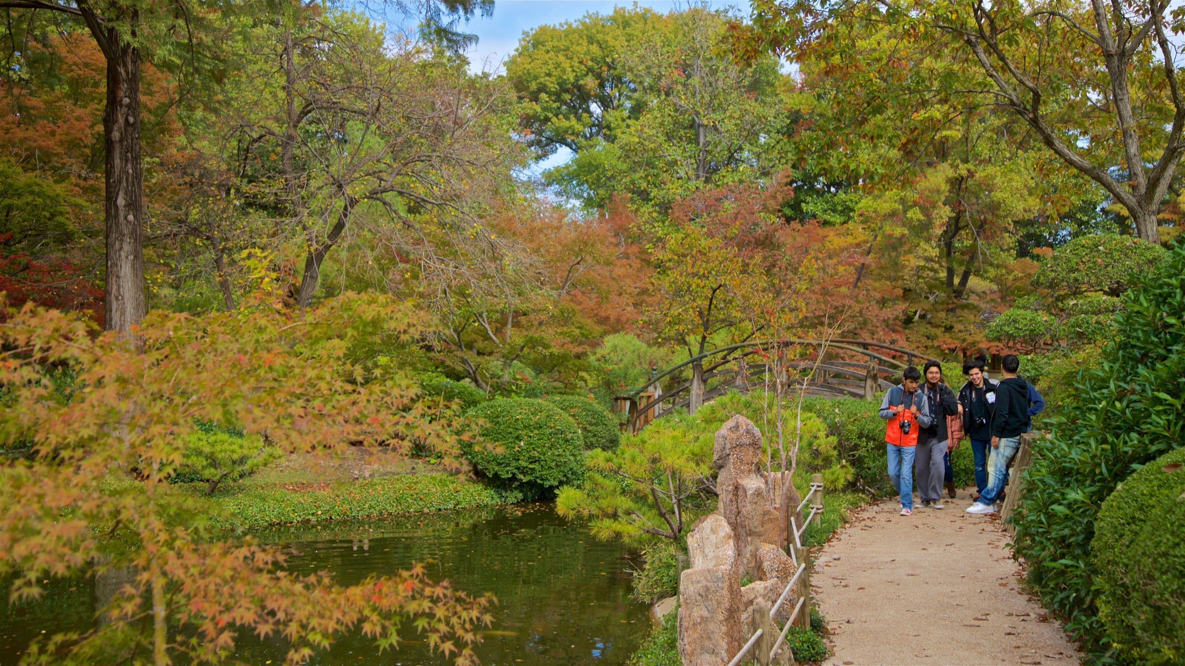 Fort Worth Japanese Garden que inclui um lago e um parque assim como um pequeno grupo de pessoas