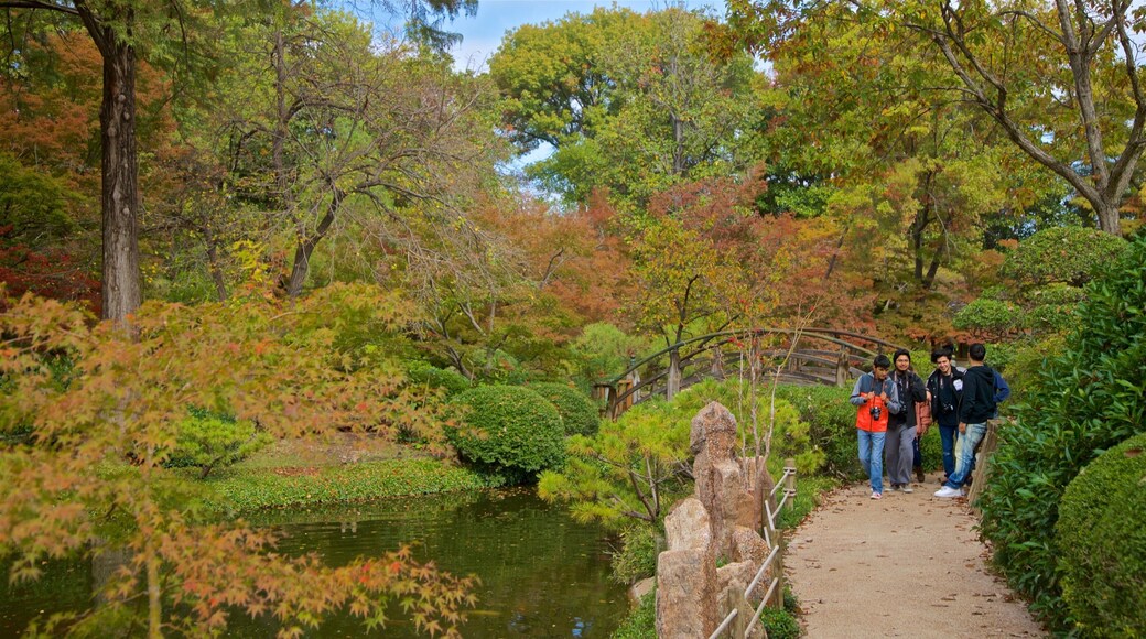 Fort Worth Japanese Garden que inclui um lago e um parque assim como um pequeno grupo de pessoas