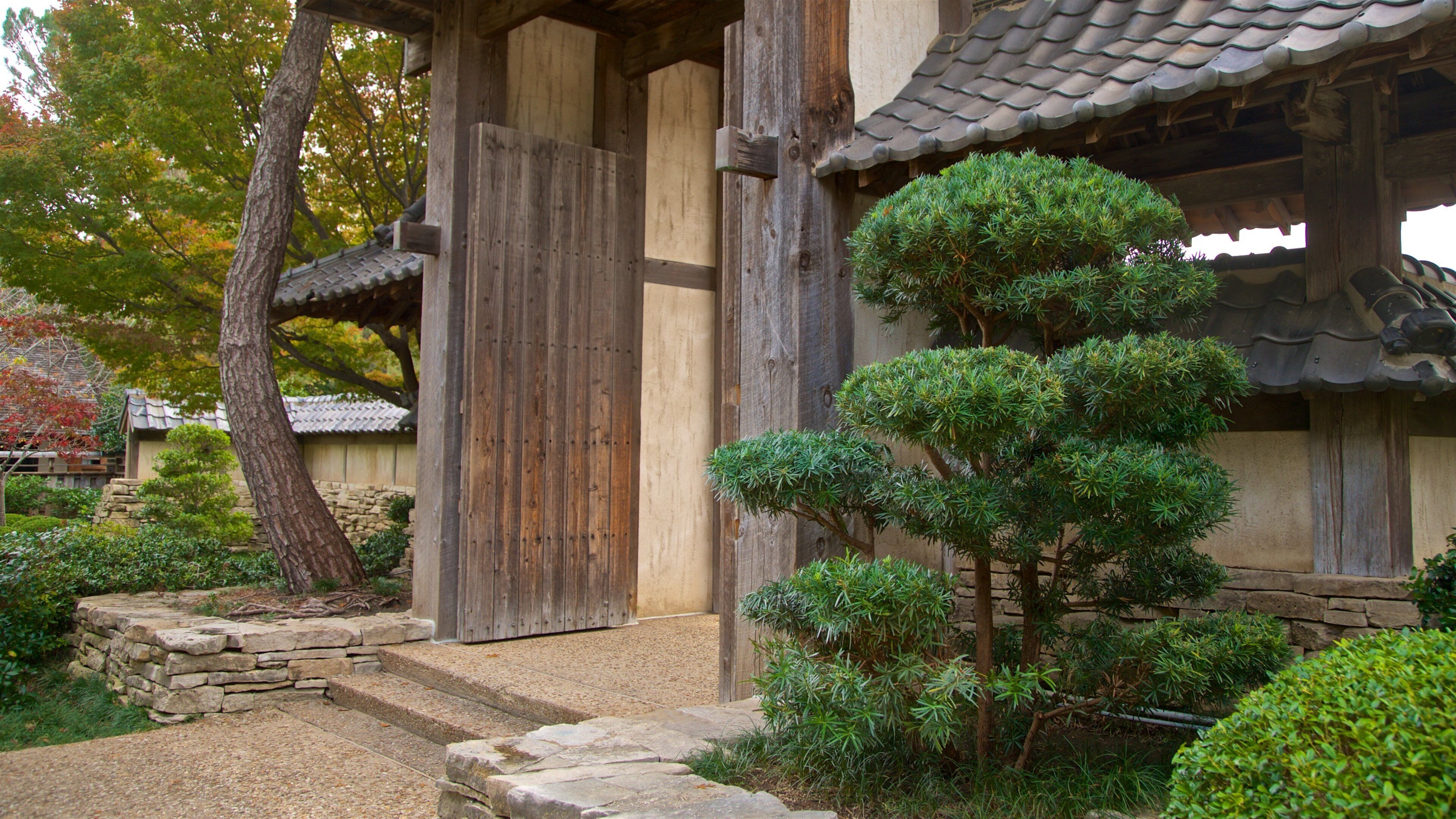 Fort Worth Japanese Garden which includes a park