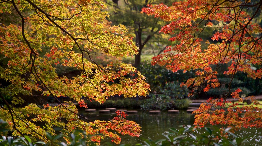 Fort Worth Japanese Garden which includes a garden