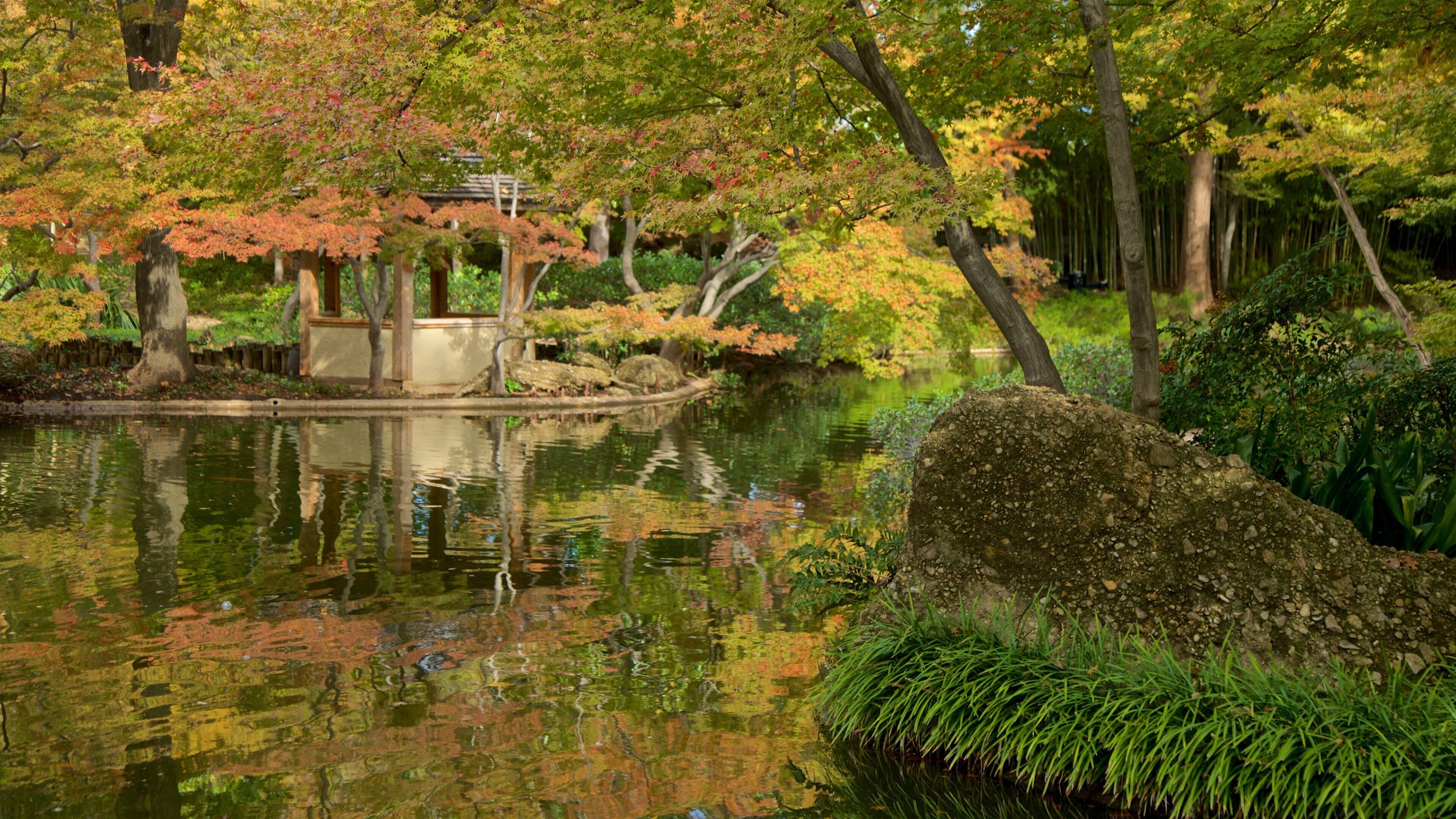 Fort Worth Japanese Garden showing a pond and a garden