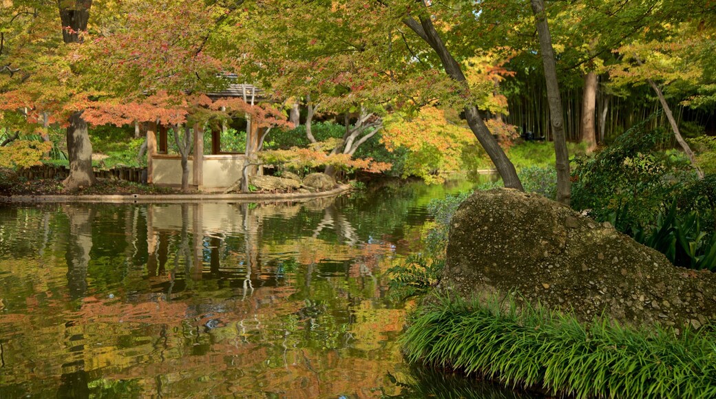 Fort Worth Japanese Garden showing a pond and a garden