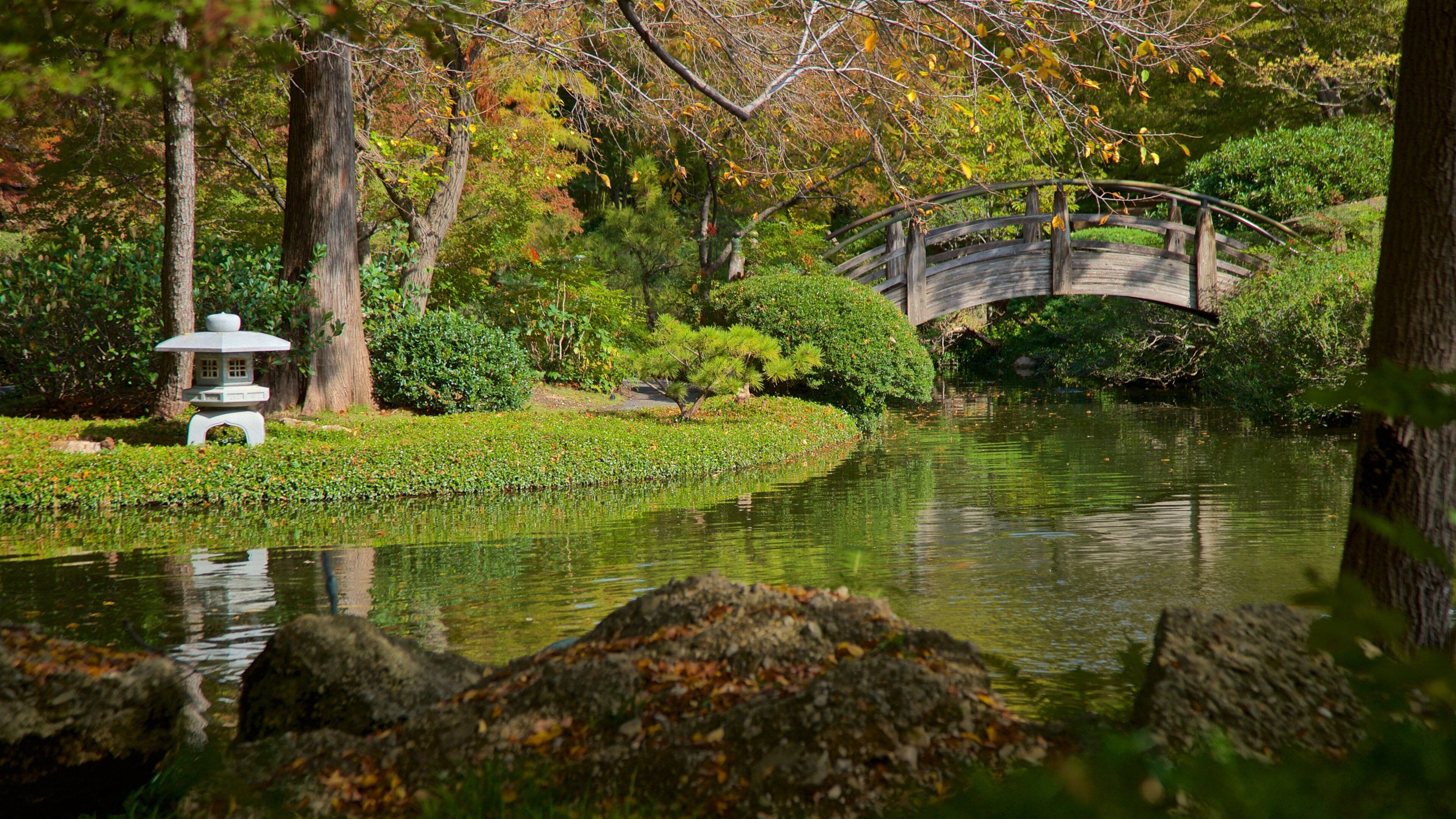 Fort Worth Japanese Garden mostrando un puente, un río o arroyo y un parque