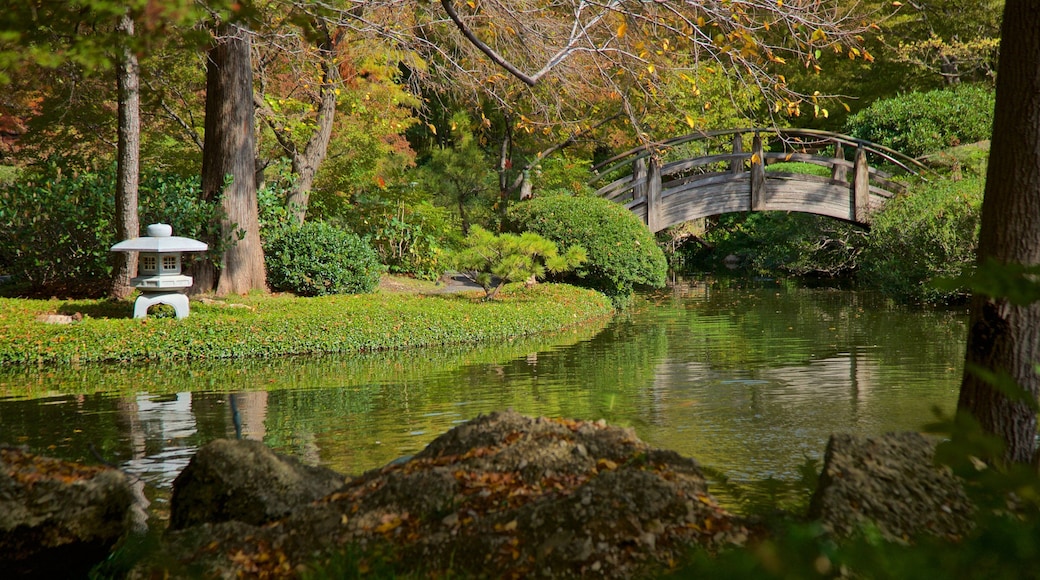 沃夫茲堡日式花園 呈现出 花園, 橋樑 和 河流或小溪