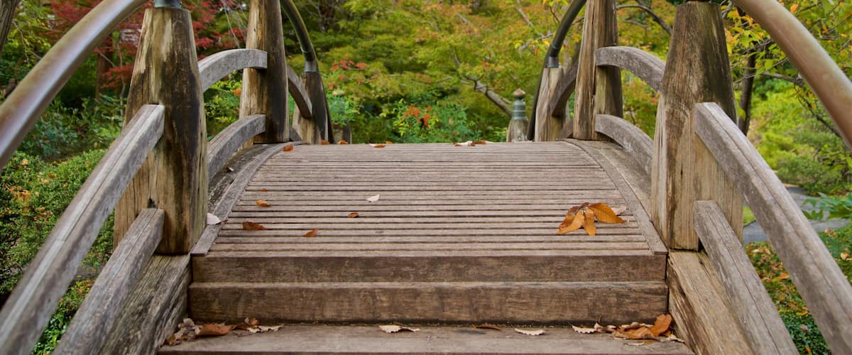 Fort Worthin japanilainen puutarha featuring silta