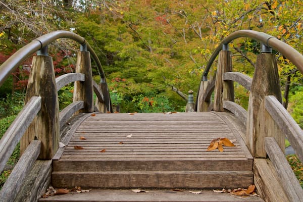 Fort Worth Japanese Garden which includes a bridge