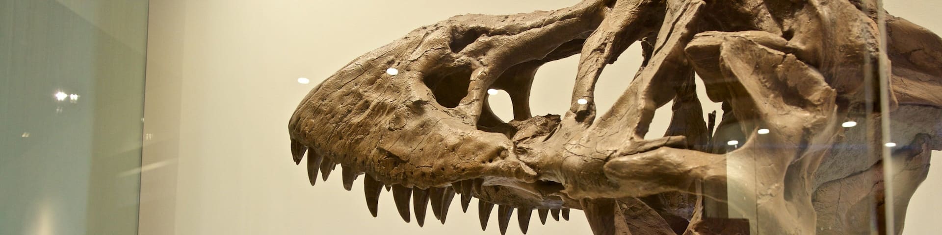 Fort Worth Museum of Science and History showing heritage elements and interior views