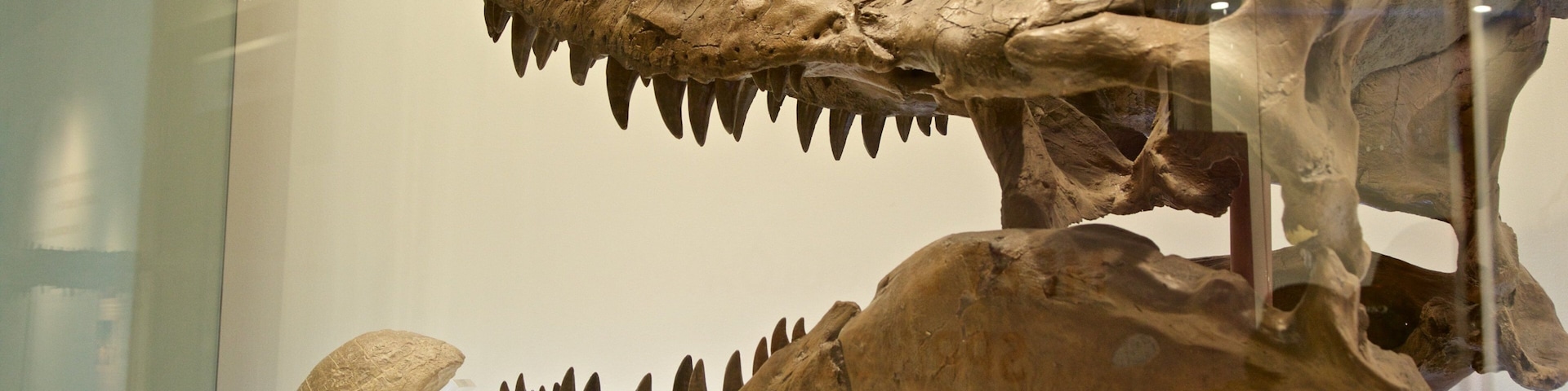 Fort Worth Museum of Science and History showing heritage elements and interior views