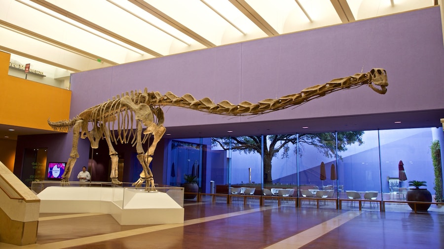 Fort Worth Museum of Science and History showing heritage elements and interior views