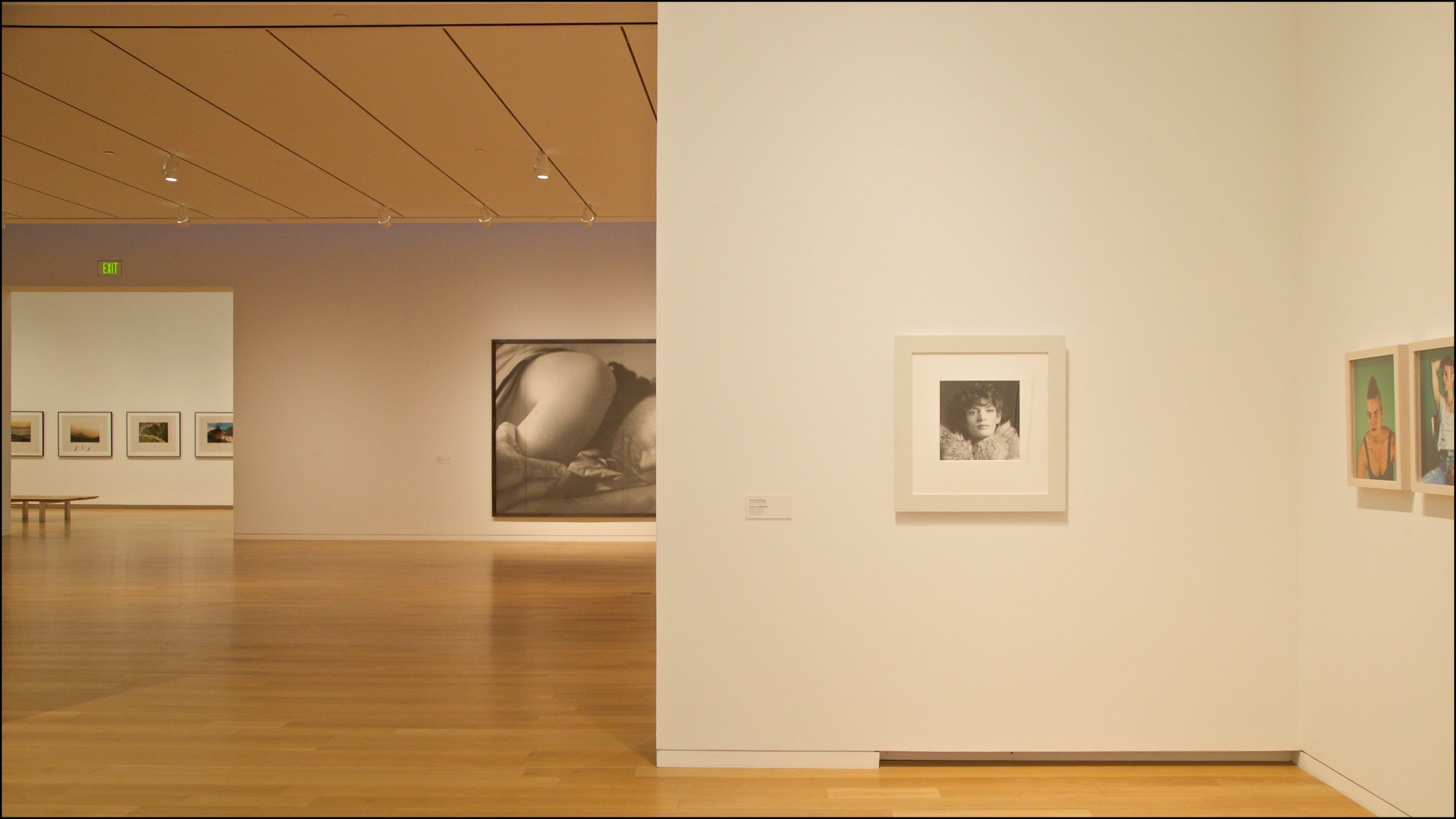 Modern Art Museum of Fort Worth which includes art and interior views