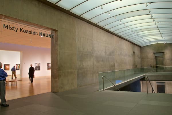 Modern Art Museum of Fort Worth showing interior views as well as an individual male