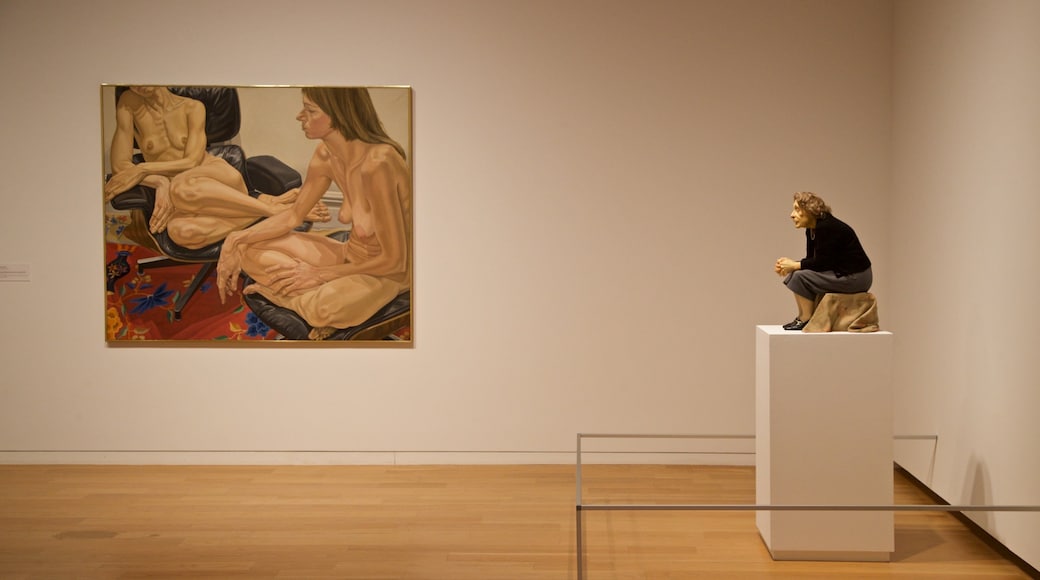 フォート ワース現代美術館 フィーチャー アート と 屋内の眺め