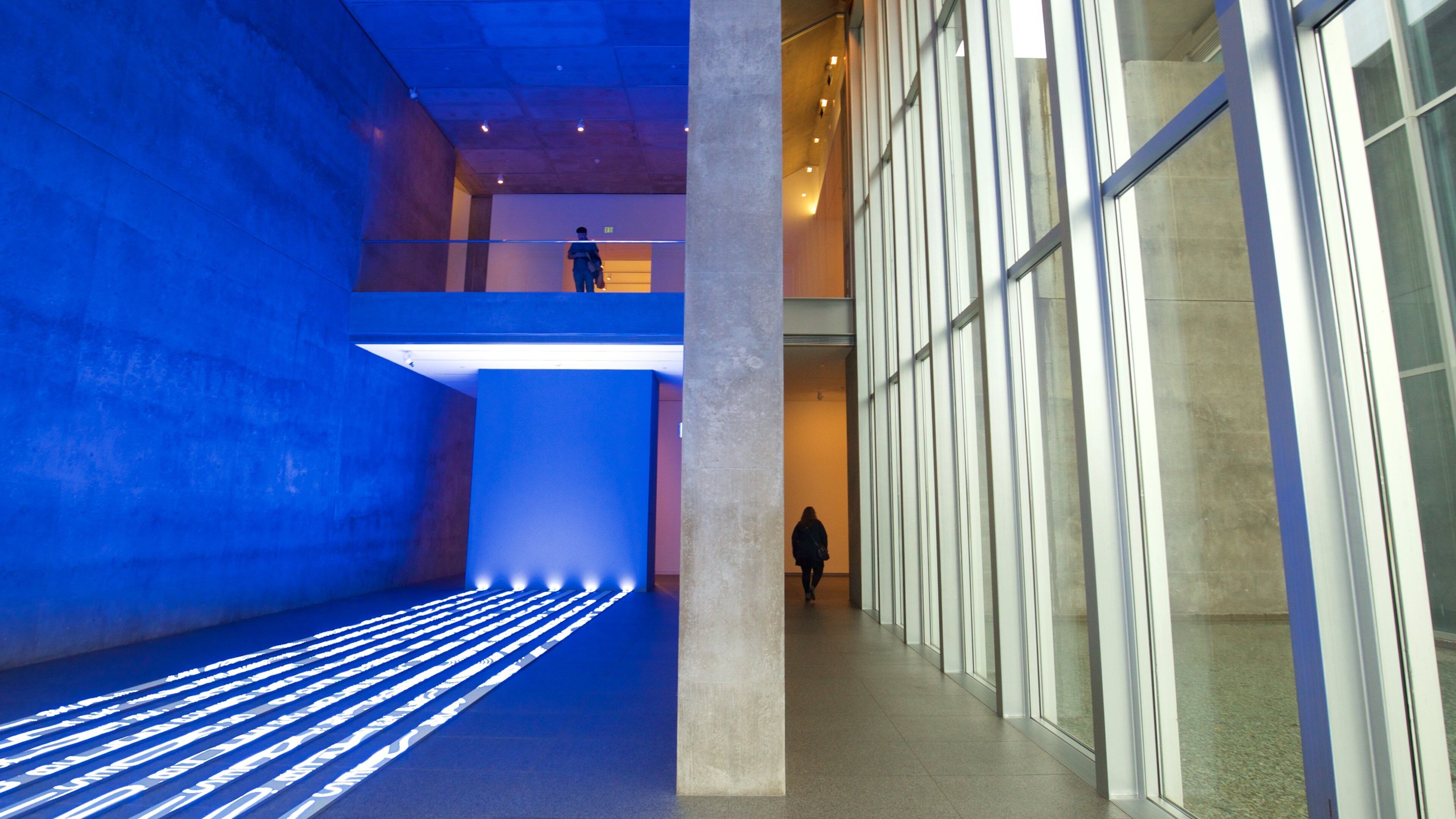 フォート ワース現代美術館 どの含み 屋内の眺め