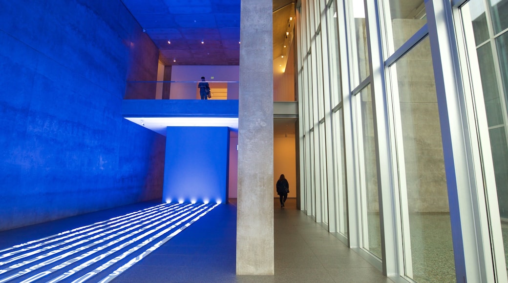 フォート ワース現代美術館 どの含み 屋内の眺め