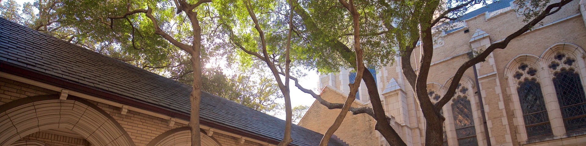 St. Patrick Cathedral featuring a church or cathedral and heritage architecture