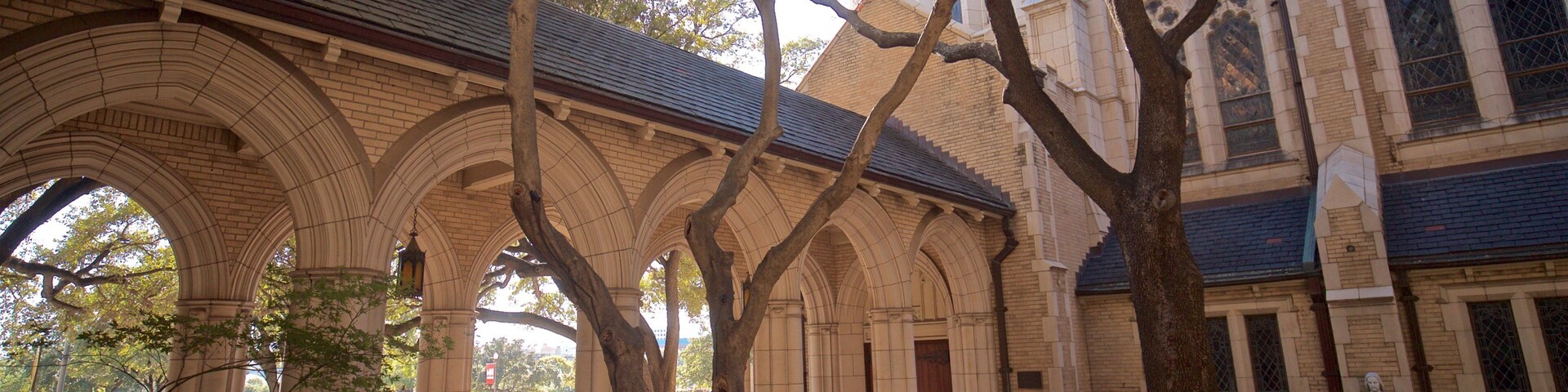 St. Patrick Cathedral featuring a church or cathedral and heritage architecture