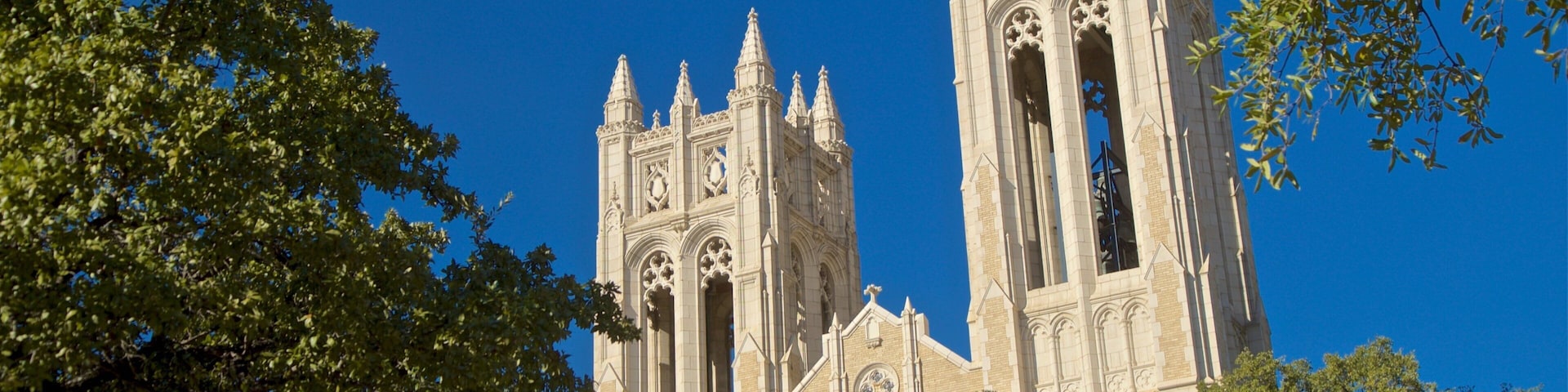 Uma catedral em estilo gótico com duas torres e trabalhos em pedra intrincados, rodeada por árvores verdes e exuberantes.