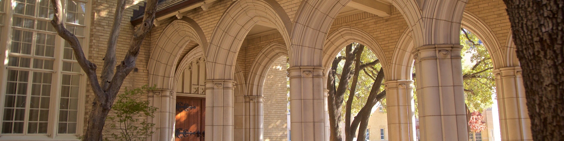 St. Patrick Cathedral caracterizando elementos de patrimônio e uma igreja ou catedral