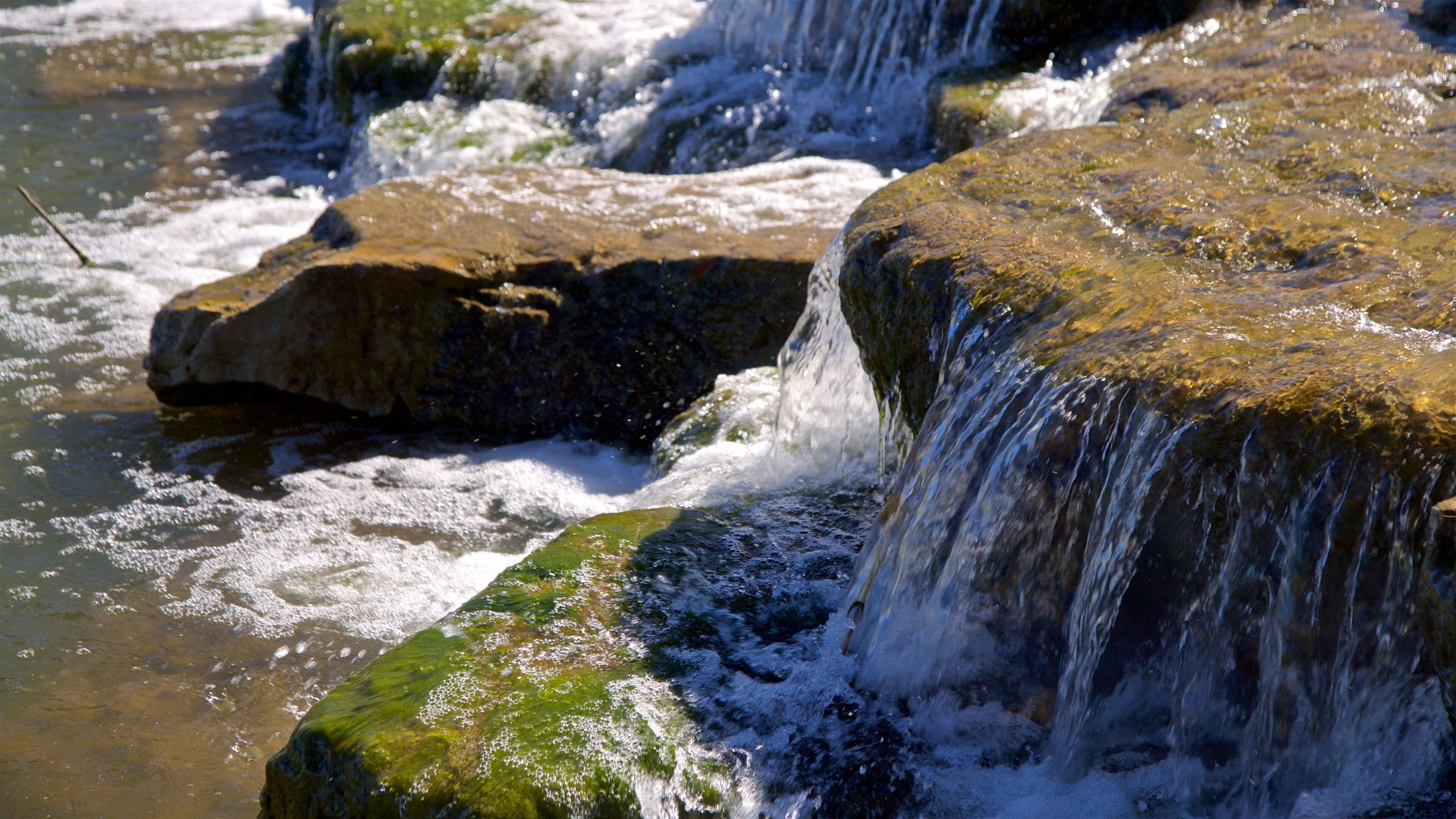 Trinity Park fasiliteter samt elv eller bekk