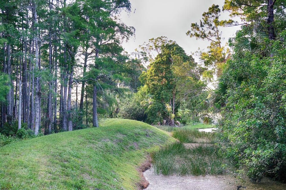 A lush green landscape with a grassy hill, dense trees, and a small water body.