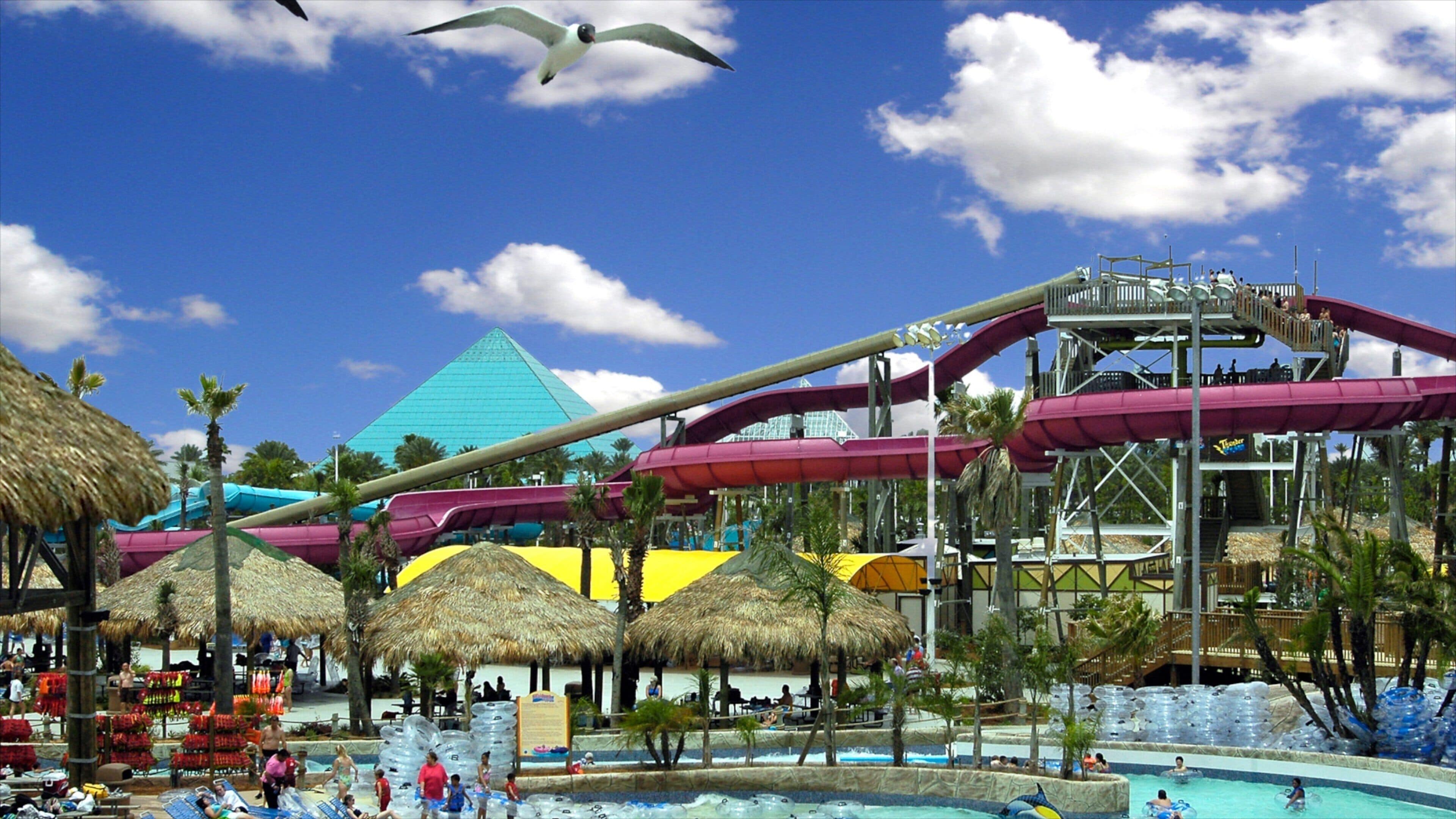 Galveston Schlitterbahn Waterpark featuring rides, a pool and a waterpark