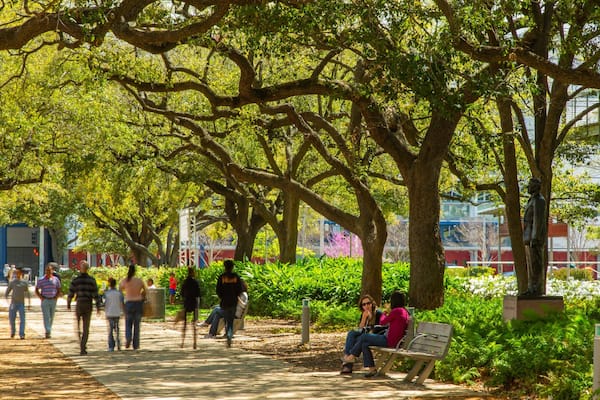 A tree-lined pathway with benches and people walking.