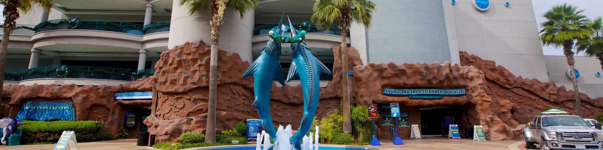 Downtown Aquarium montrant vie marine et fontaine