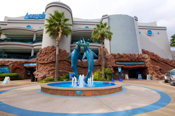 Downtown Aquarium montrant vie marine et fontaine