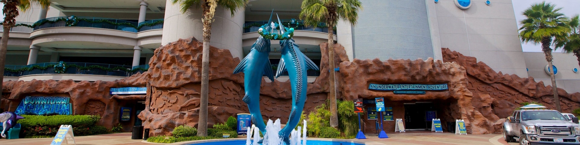 市中心水族館 设有 噴泉 和 海洋生物