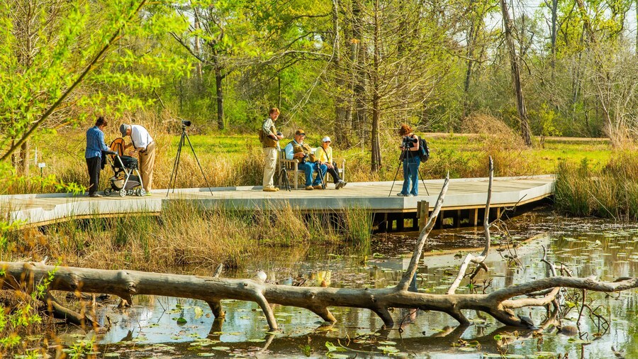 Houston Arboretum and Nature Center