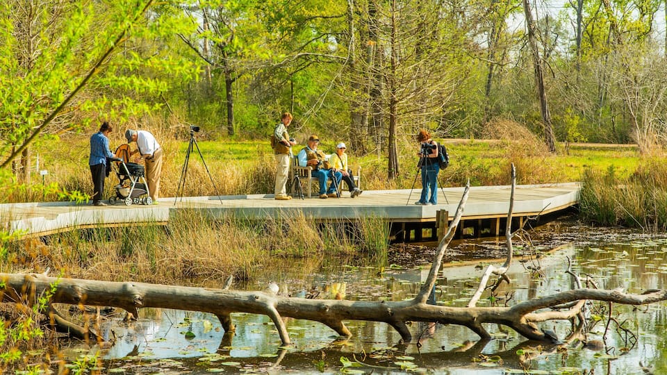 Houston Arboretum and Nature Center