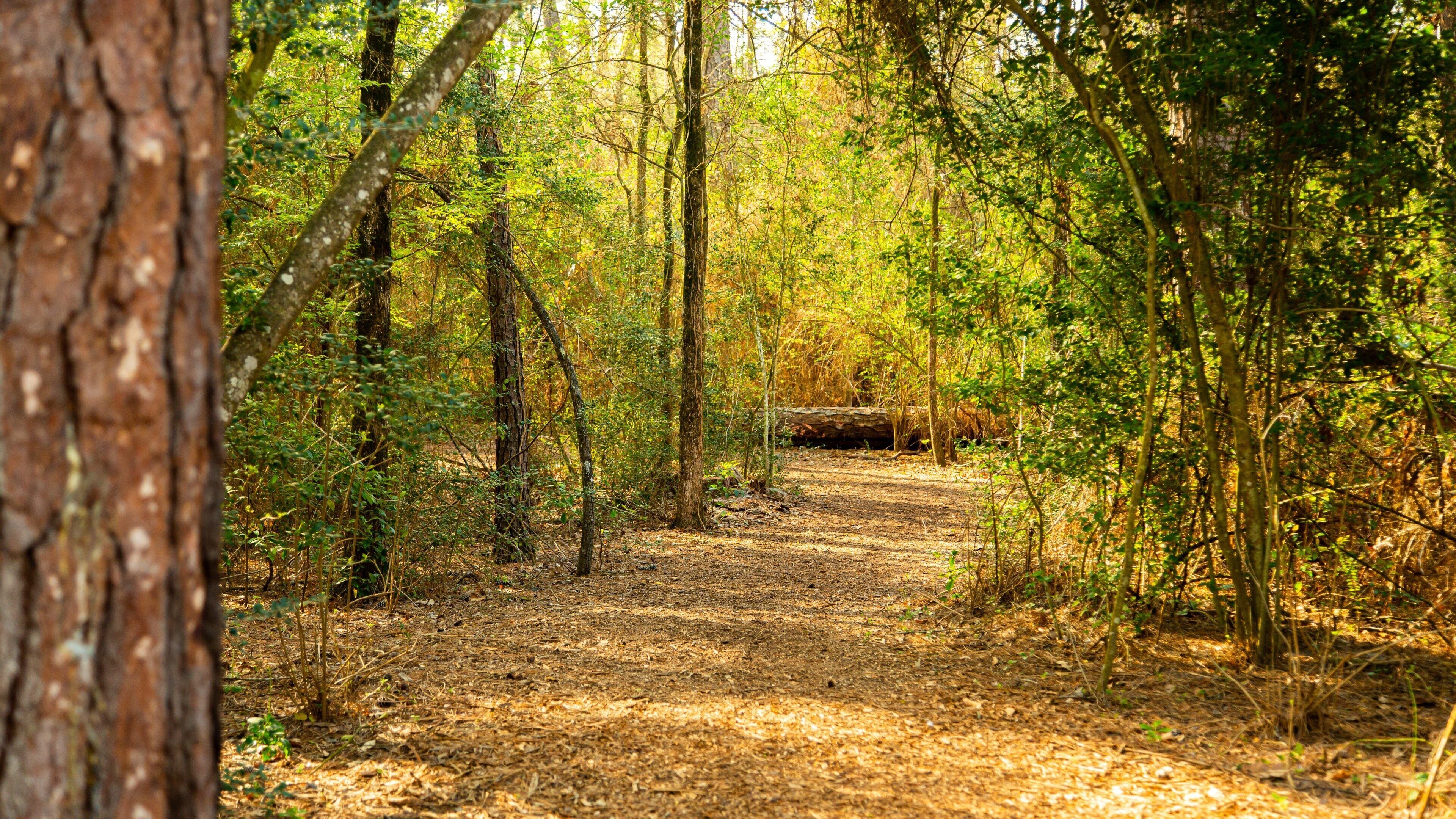 Houston Arboretum and Nature Center