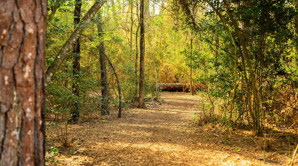 Houston Arboretum and Nature Center