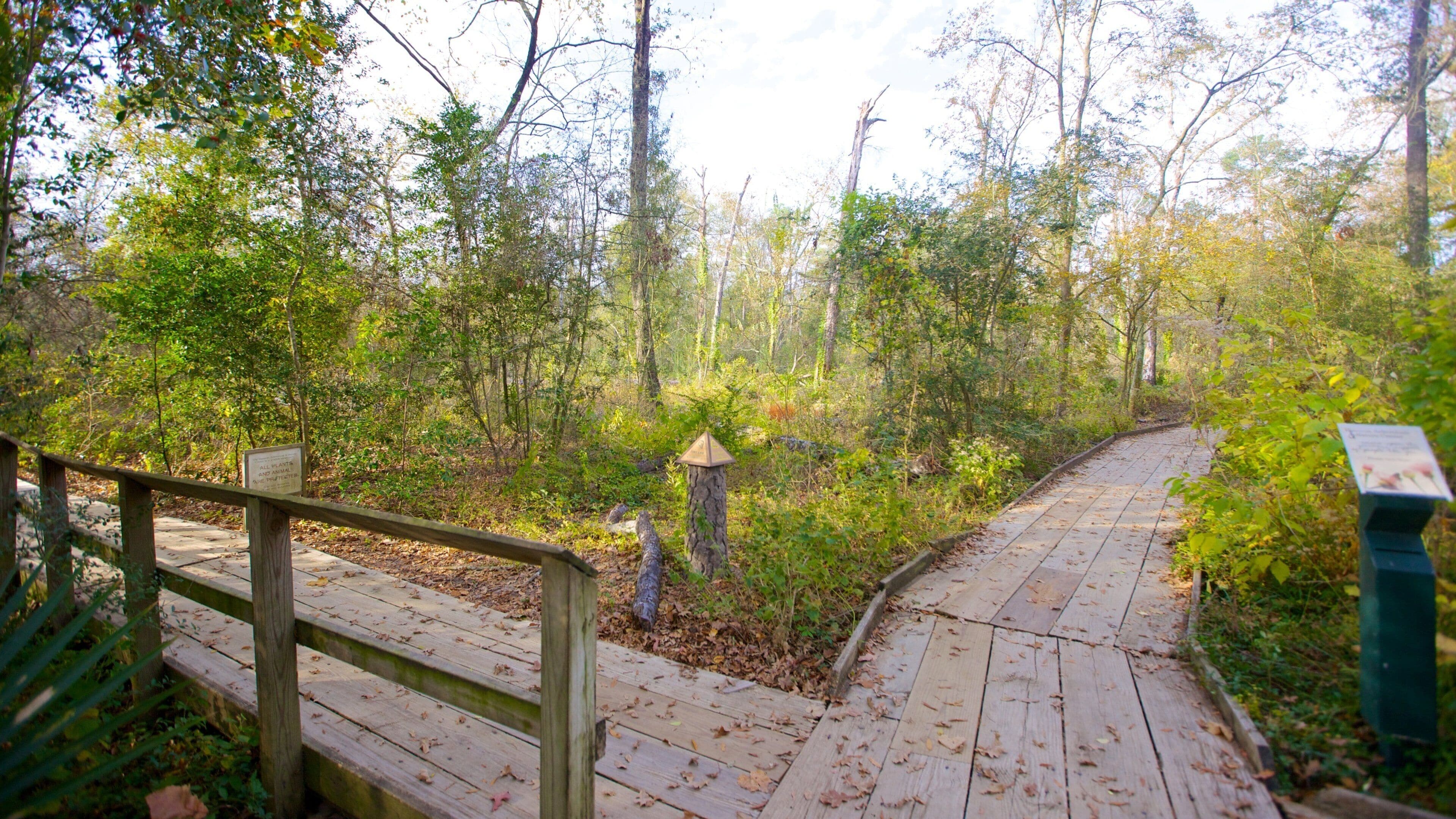 A wooden boardwalk through a forest with a stone lantern and signs.