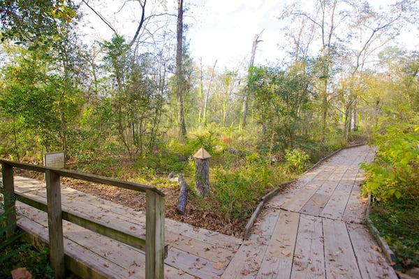 Une promenade en bois qui traverse une forêt, avec une lanterne en pierre et des panneaux indicateurs.