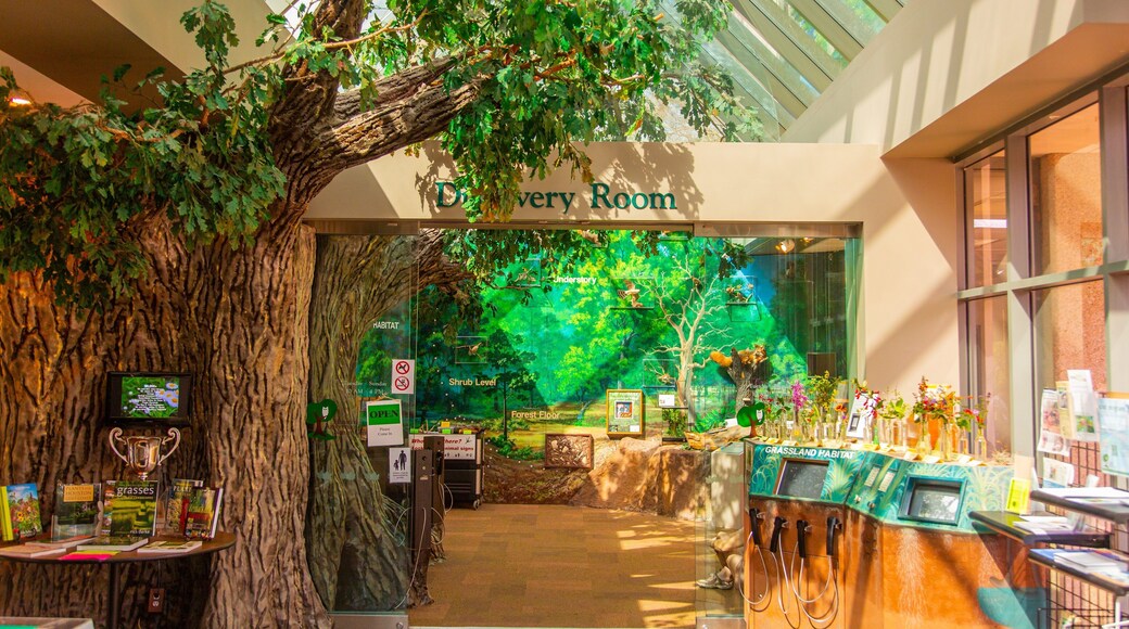 Houston Arboretum and Nature Center