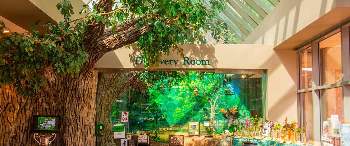 Houston Arboretum and Nature Center