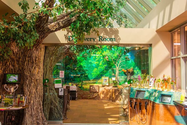 Houston Arboretum and Nature Center