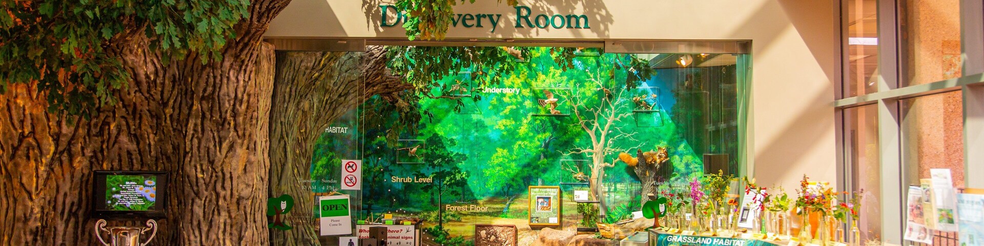 Houston Arboretum and Nature Center