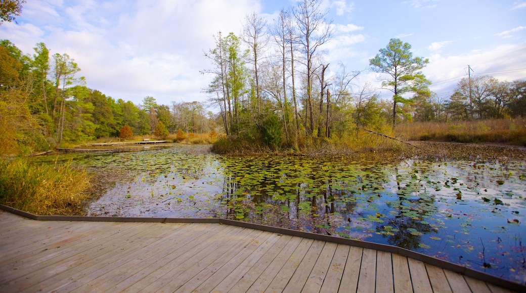 Scenic view of the tranquil pond at Houston Arboretum and Nature Center showcasing lush greenery and serene waters