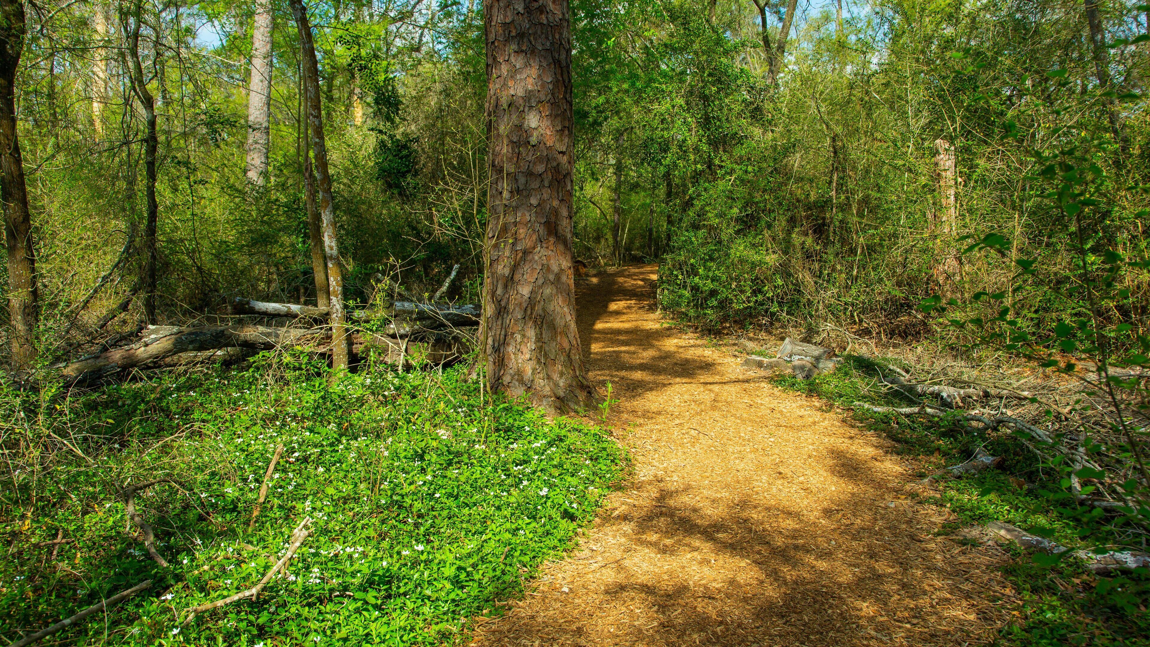 Houston Arboretum and Nature Center