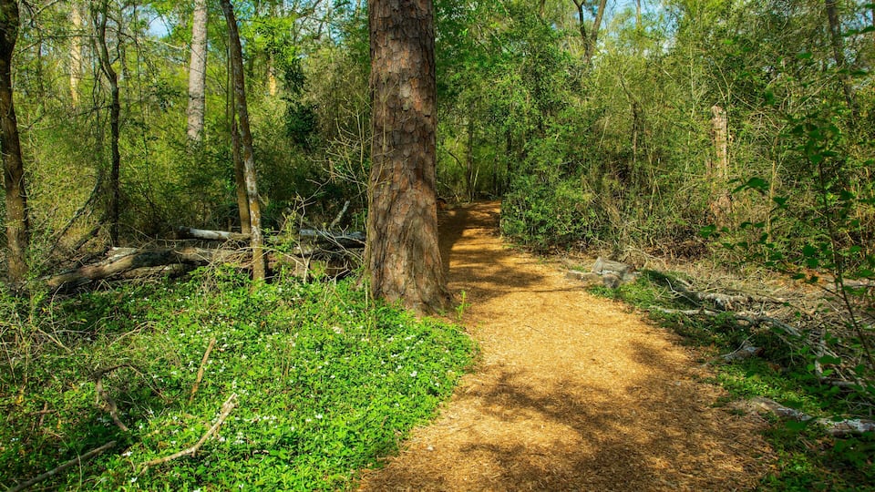Houston Arboretum and Nature Center