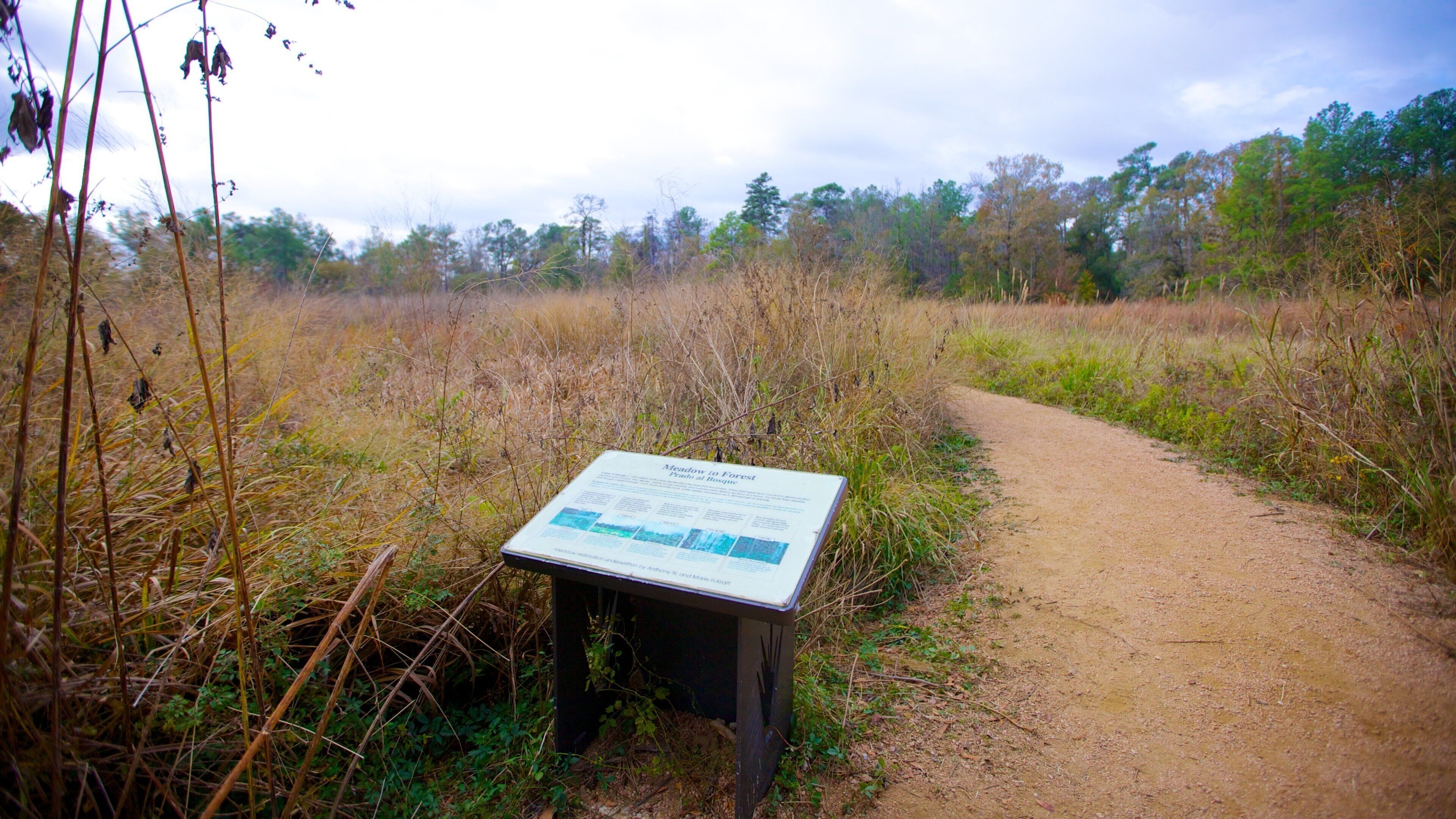 ヒューストン樹木園および自然センター フィーチャー 自然の風景, 庭園 と 静かな風景