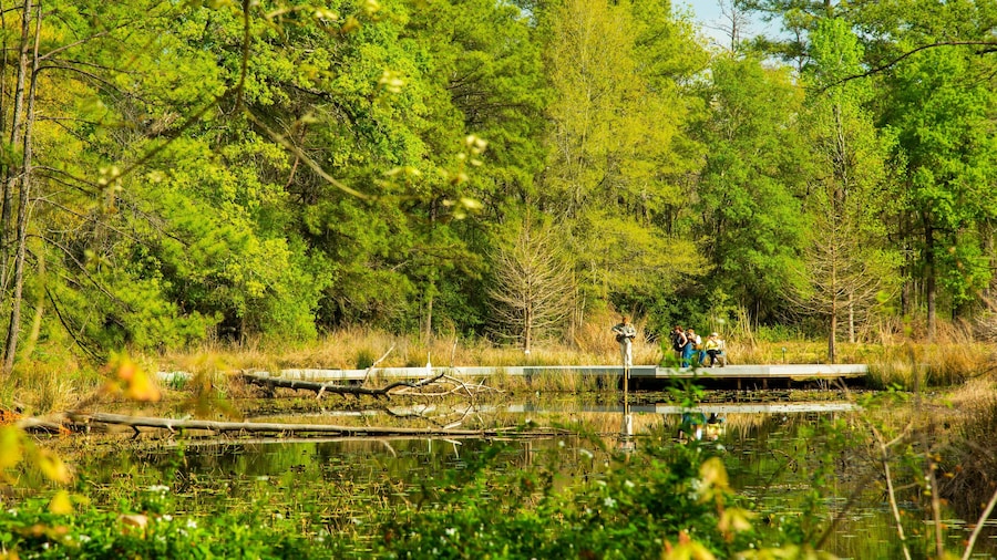 Houston Arboretum and Nature Center