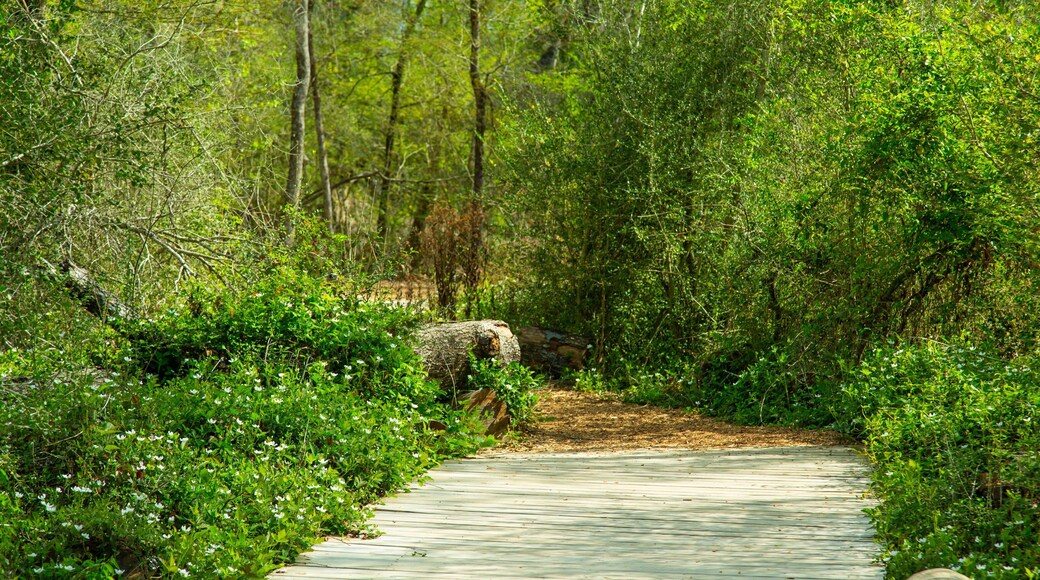 Houston Arboretum and Nature Center