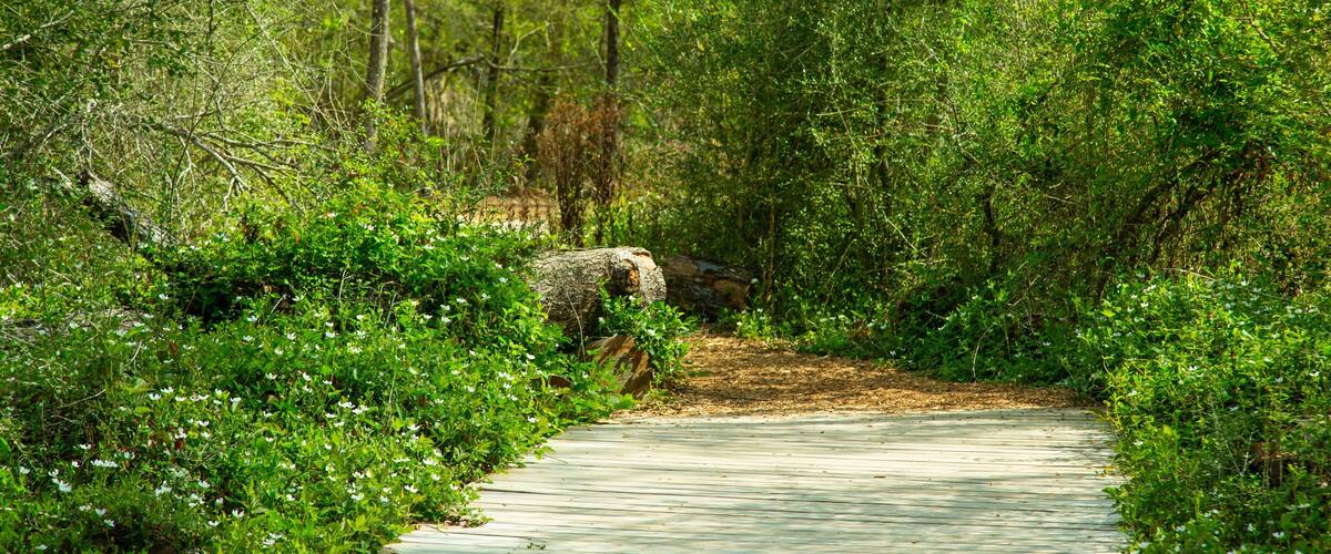 Houston Arboretum and Nature Center